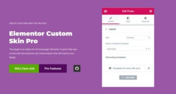Elementor Custom Skin Pro v3.2.4