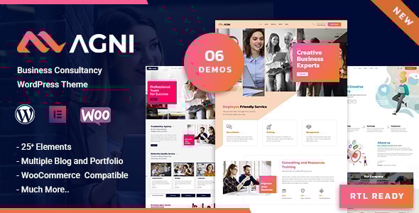 Agni - Consulting Business